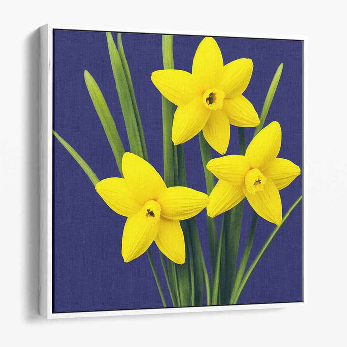 Pencil Drawing Daffodils #002