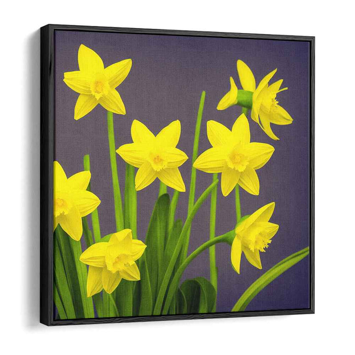 Lemon Symphony: Yellow Daffodils Against Purple Canvas Art Print