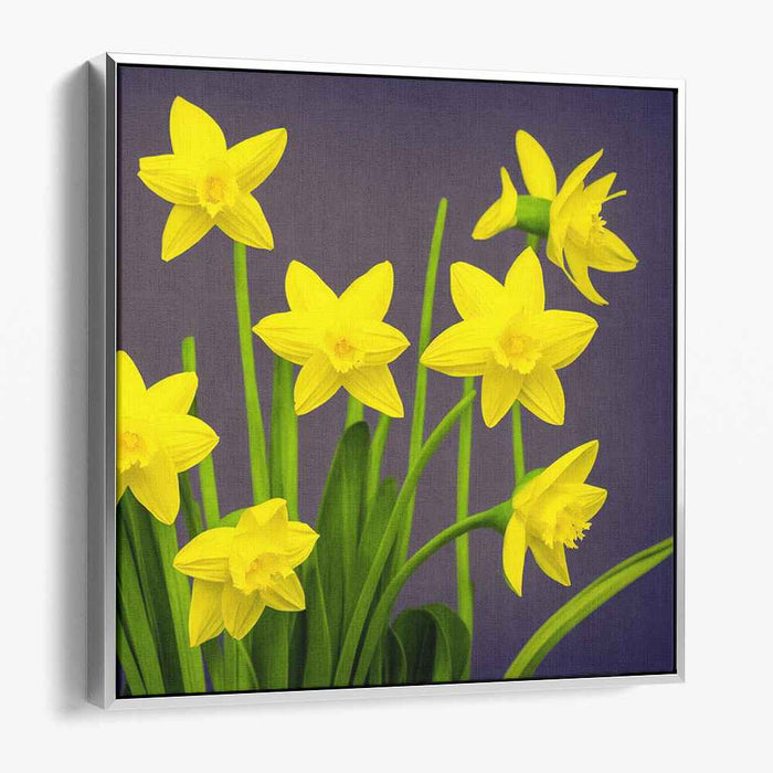 Lemon Symphony: Yellow Daffodils Against Purple Canvas Art Print
