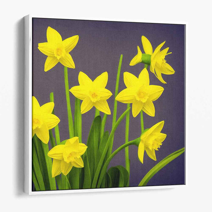 Lemon Symphony: Yellow Daffodils Against Purple Canvas Art Print