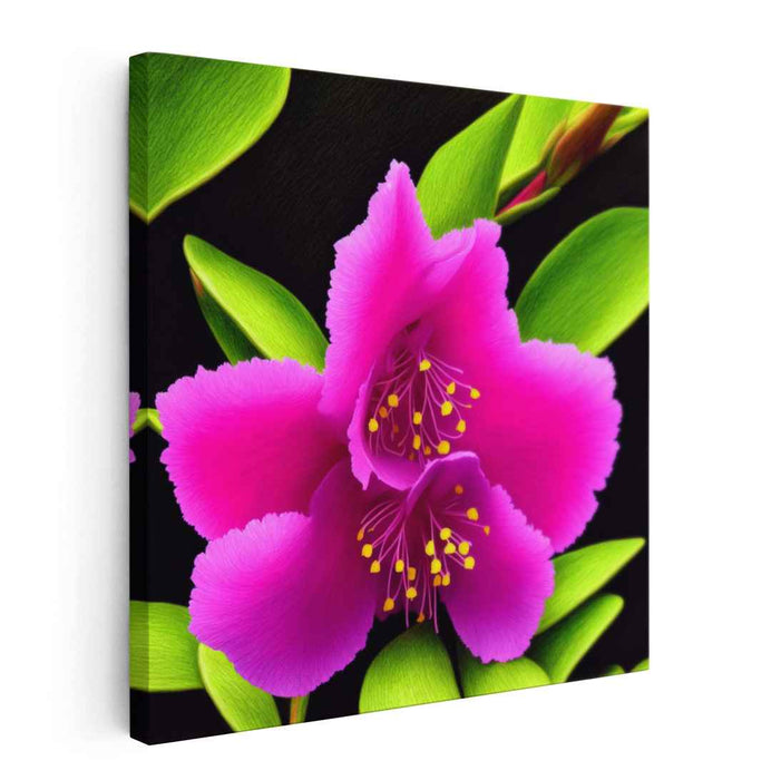 Velvet Petals: Magenta Flower Canvas Art Print
