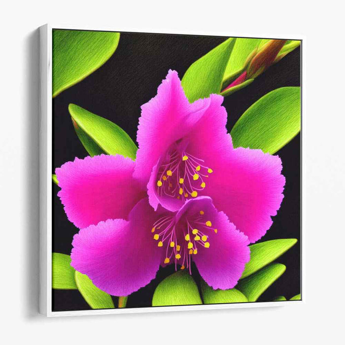 Velvet Petals: Magenta Flower Canvas Art Print