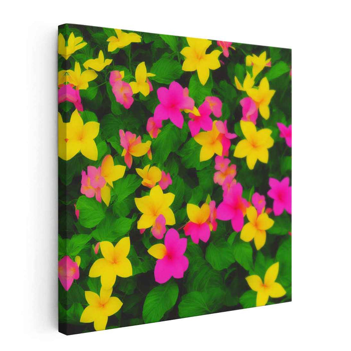 Pencil Drawing Tropical Flowers #002