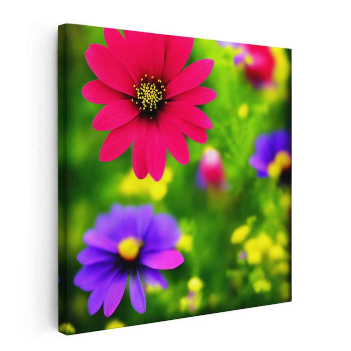 Pencil Drawing Wild Flowers #001