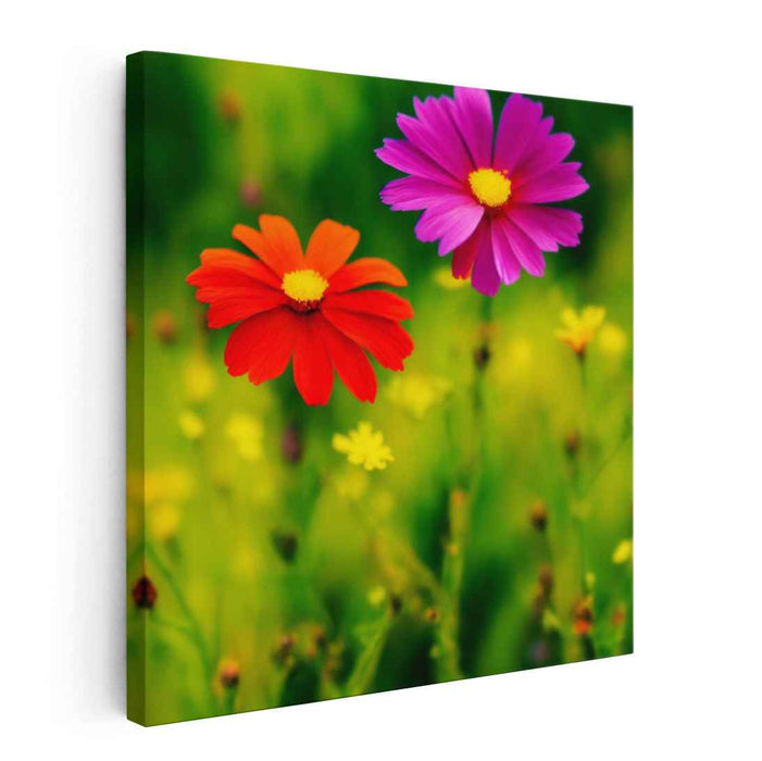 Pencil Drawing Wild Flowers #003