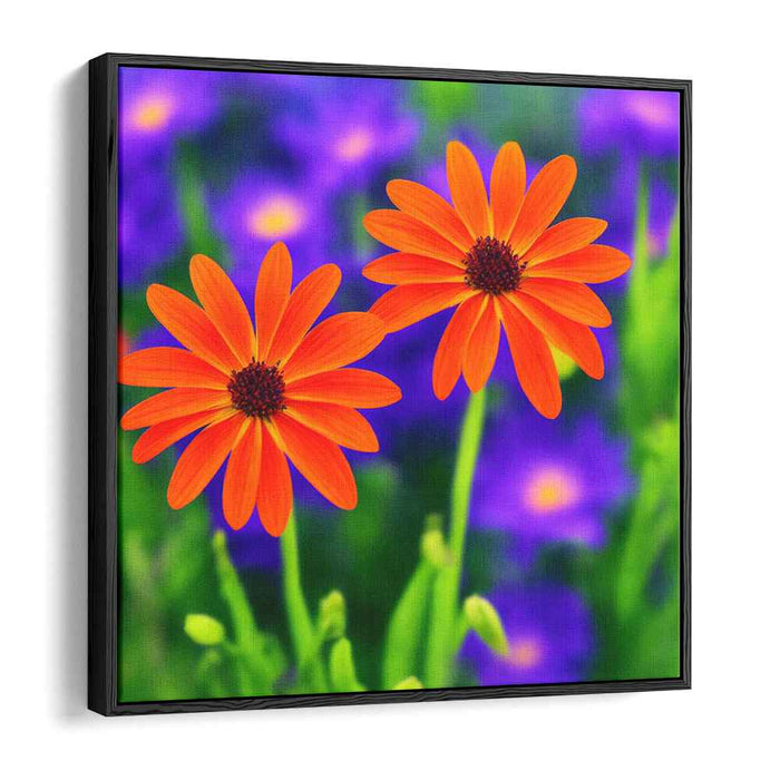 Amber Petals Dance: Vibrant Orange Daisies with Purple Floral Background Canvas Art Print