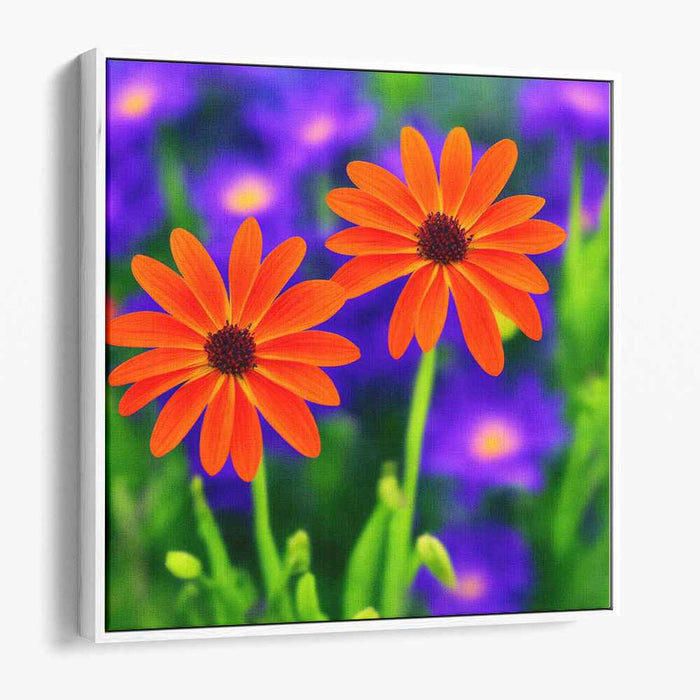 Amber Petals Dance: Vibrant Orange Daisies with Purple Floral Background Canvas Art Print