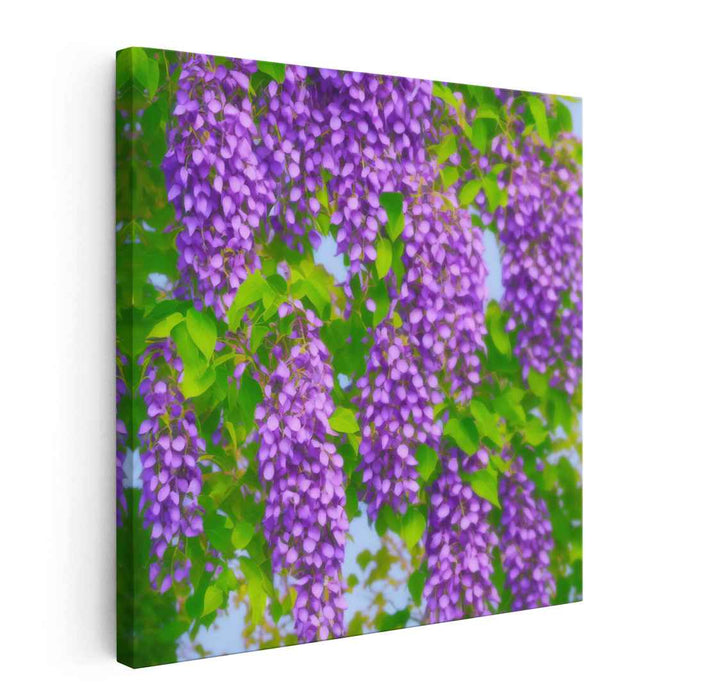 Surreal Blooms Unveiled: Photorealistic Wisteria Blossom Canvas Art Print