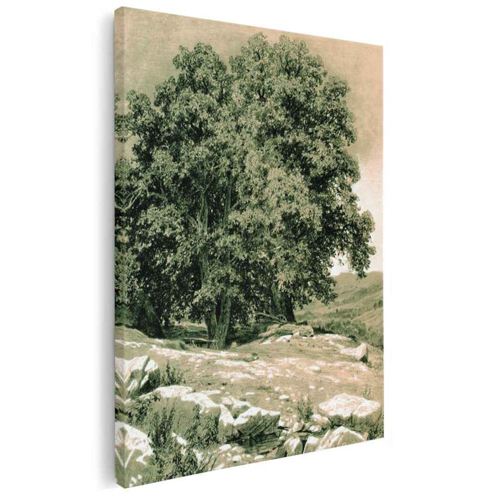 Crimean Nut-Tree (1884) by Ivan Shishkin