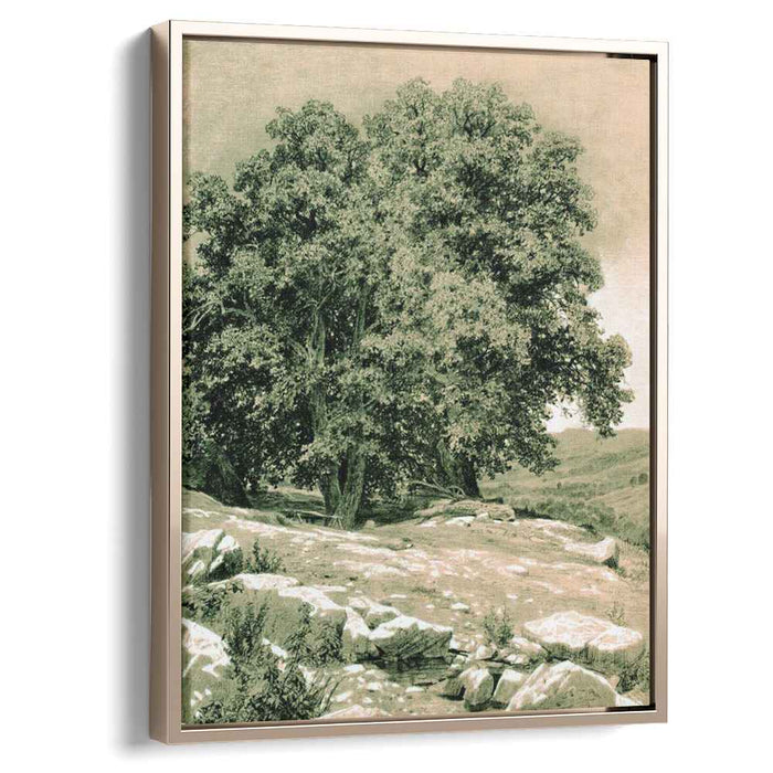 Crimean Nut-Tree (1884) by Ivan Shishkin