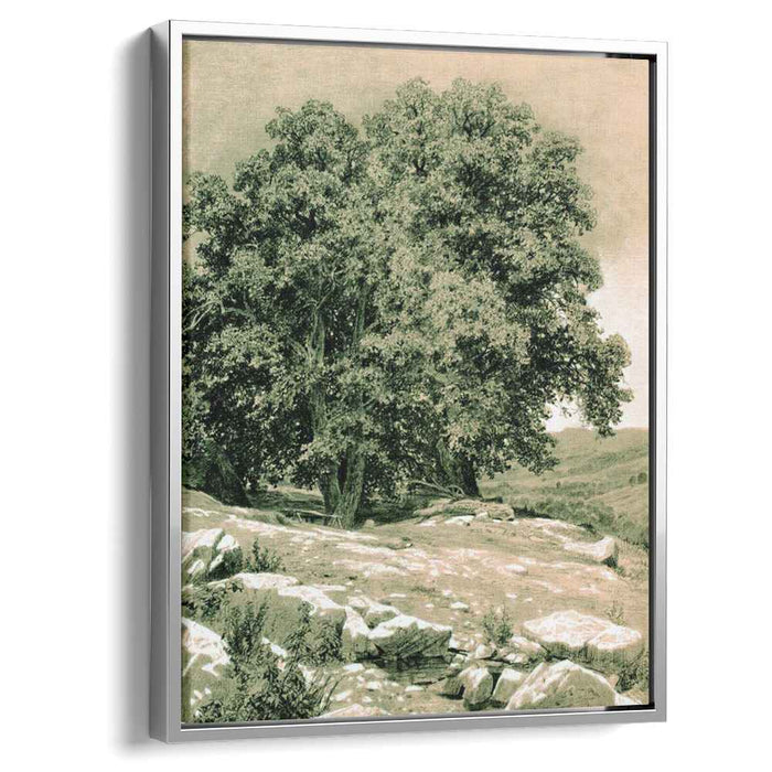 Crimean Nut-Tree (1884) by Ivan Shishkin