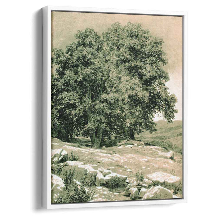Crimean Nut-Tree (1884) by Ivan Shishkin