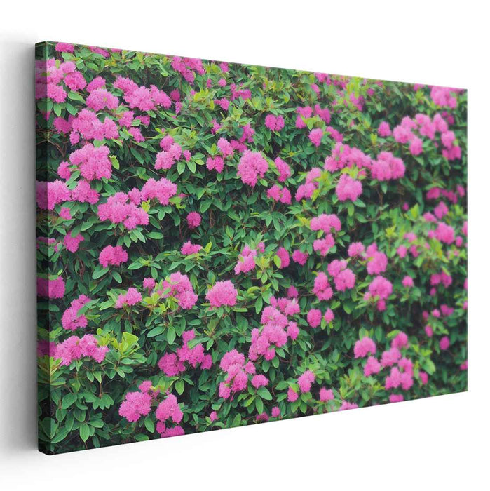 Rouge Petal Serenade: Lush Pink Floral Canvas Art Print