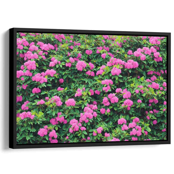 Rouge Petal Serenade: Lush Pink Floral Canvas Art Print