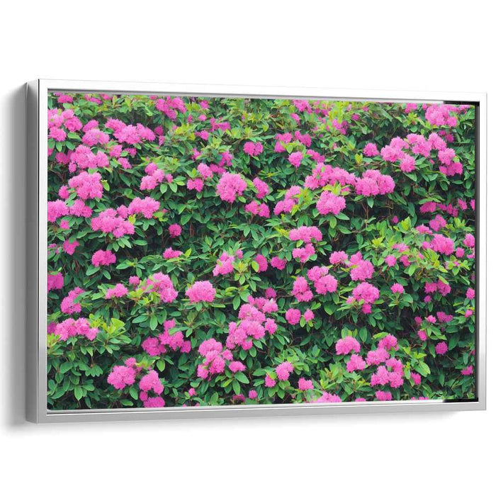 Rouge Petal Serenade: Lush Pink Floral Canvas Art Print