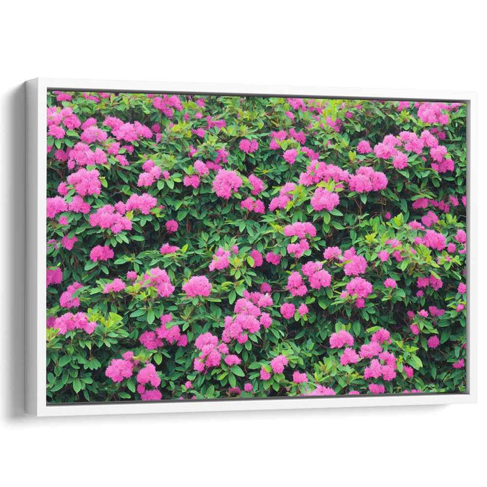 Rouge Petal Serenade: Lush Pink Floral Canvas Art Print
