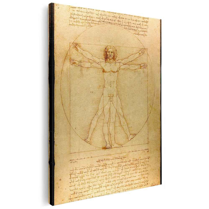 The proportions of the human figure (The Vitruvian Man) (1492) by Leonardo da Vinci