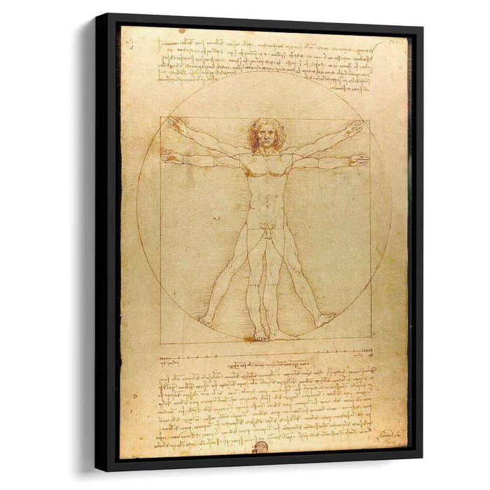 The proportions of the human figure (The Vitruvian Man) (1492) by Leonardo da Vinci