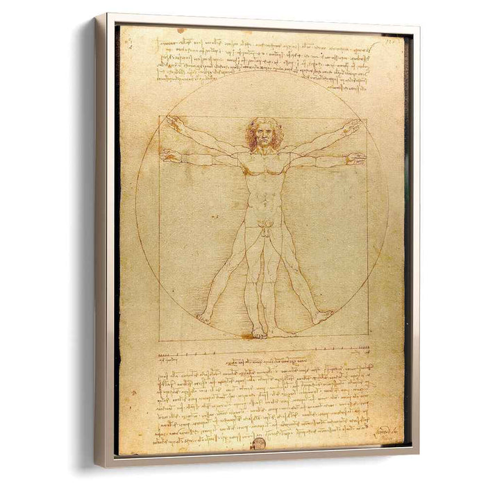 The proportions of the human figure (The Vitruvian Man) (1492) by Leonardo da Vinci