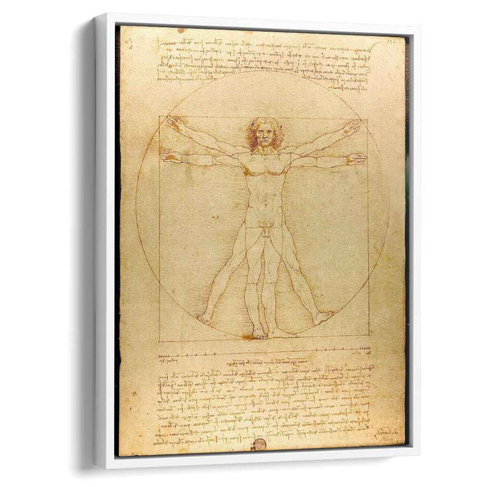 The proportions of the human figure (The Vitruvian Man) (1492) by Leonardo da Vinci
