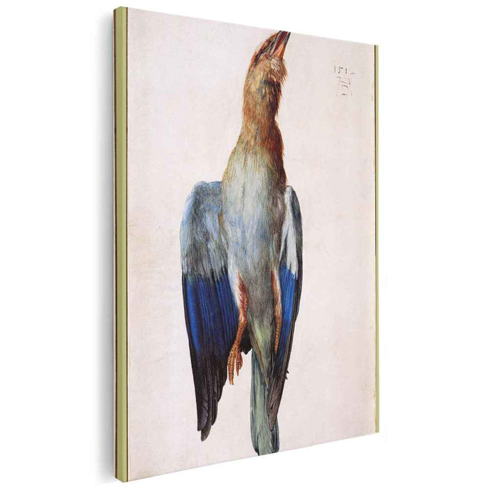 Dead Bluebird (1512) by Albrecht Durer