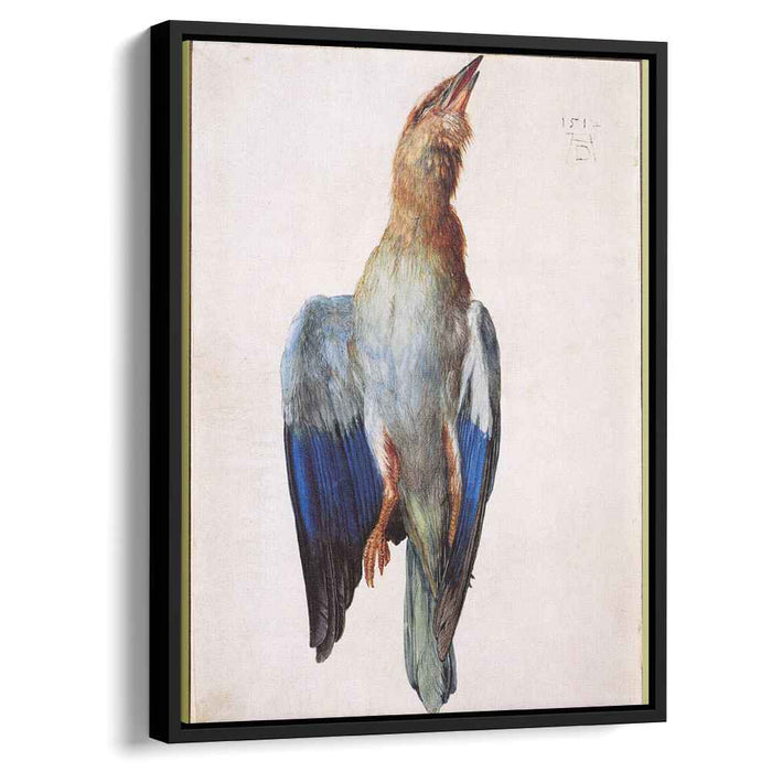Dead Bluebird (1512) by Albrecht Durer