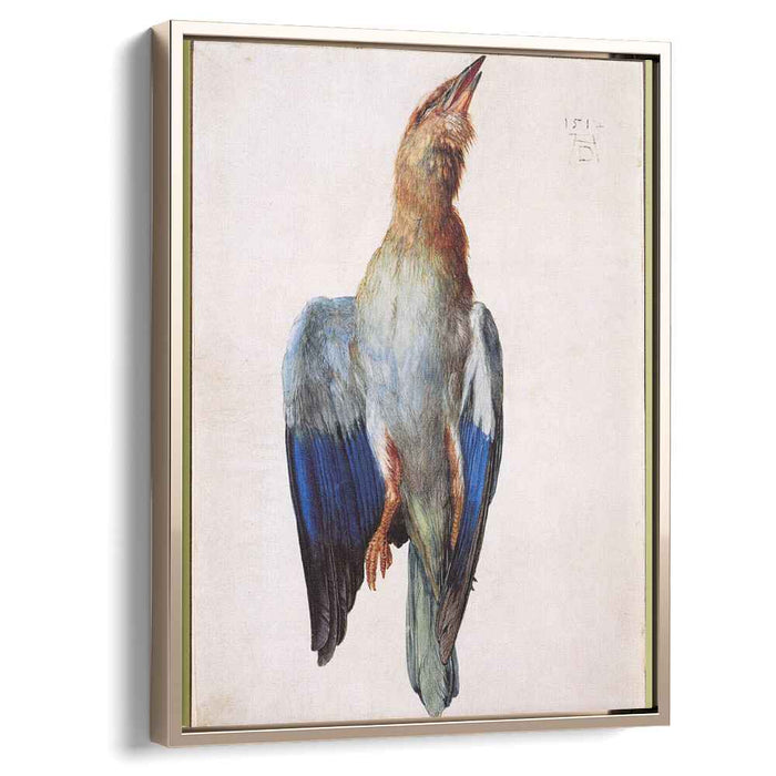 Dead Bluebird (1512) by Albrecht Durer