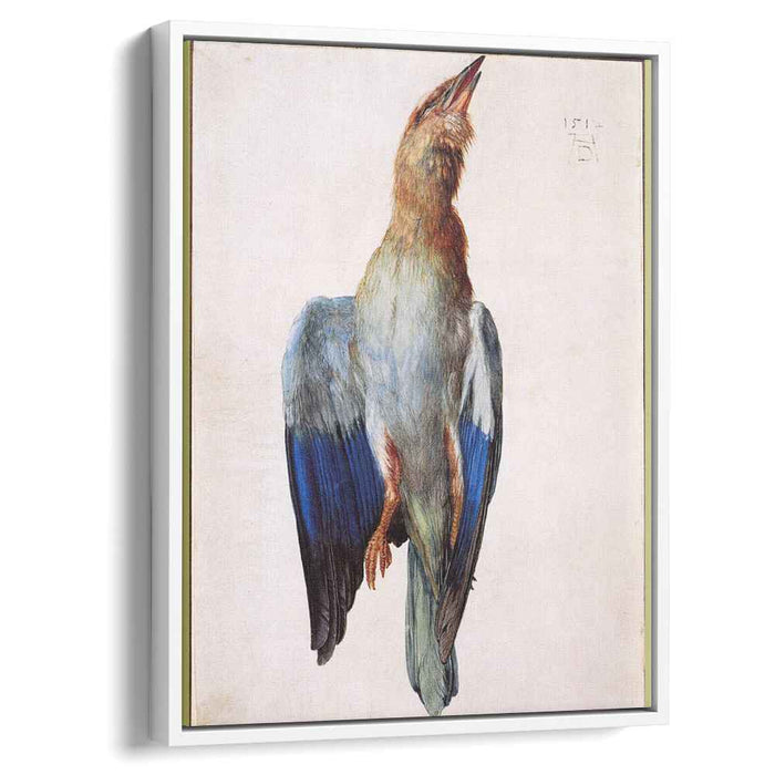 Dead Bluebird (1512) by Albrecht Durer