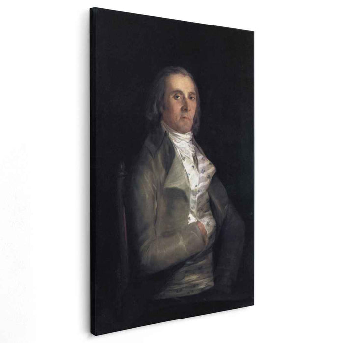 Don Andres del Peral (1798) by Francisco Goya