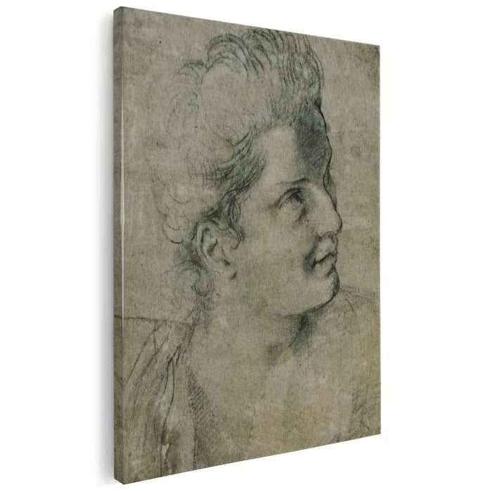 Face a woman turned towards the right by Annibale Carracci