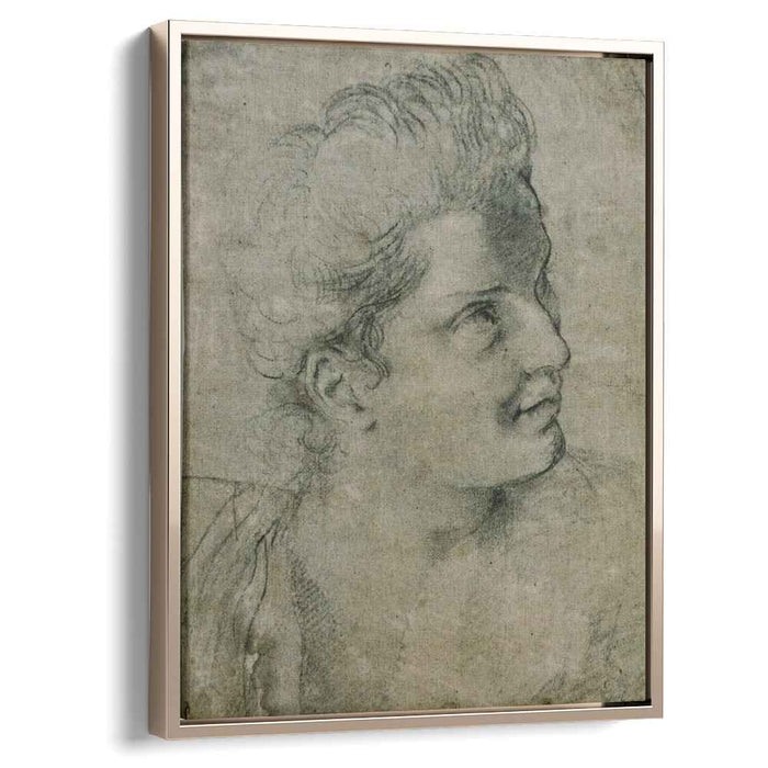 Face a woman turned towards the right by Annibale Carracci