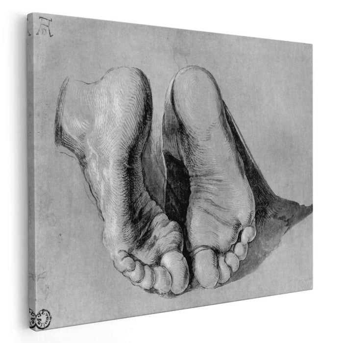 Feet of an apostle by Albrecht Durer