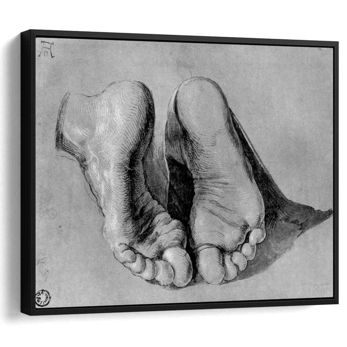 Feet of an apostle by Albrecht Durer