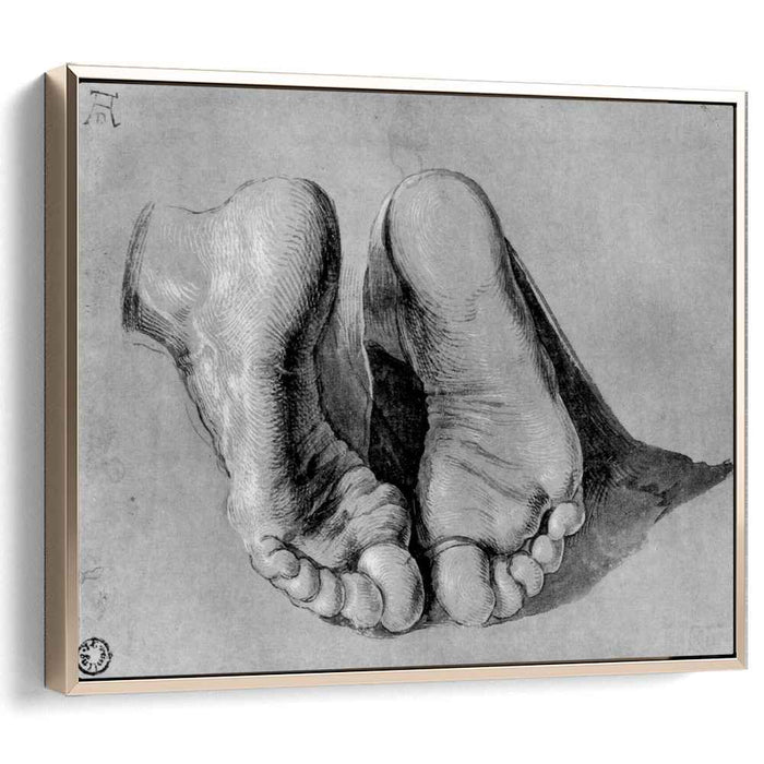 Feet of an apostle by Albrecht Durer