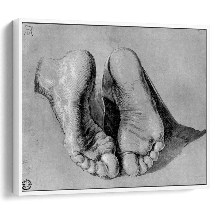Feet of an apostle by Albrecht Durer