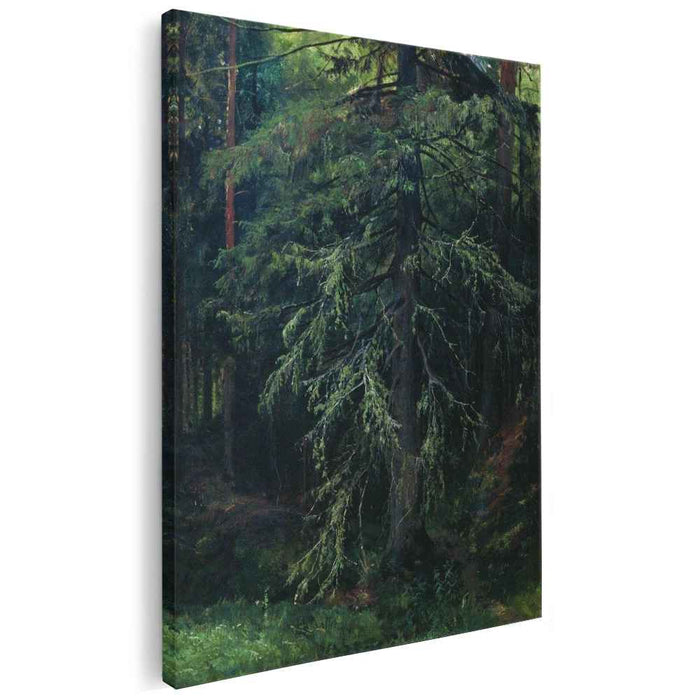 Fir by Ivan Shishkin