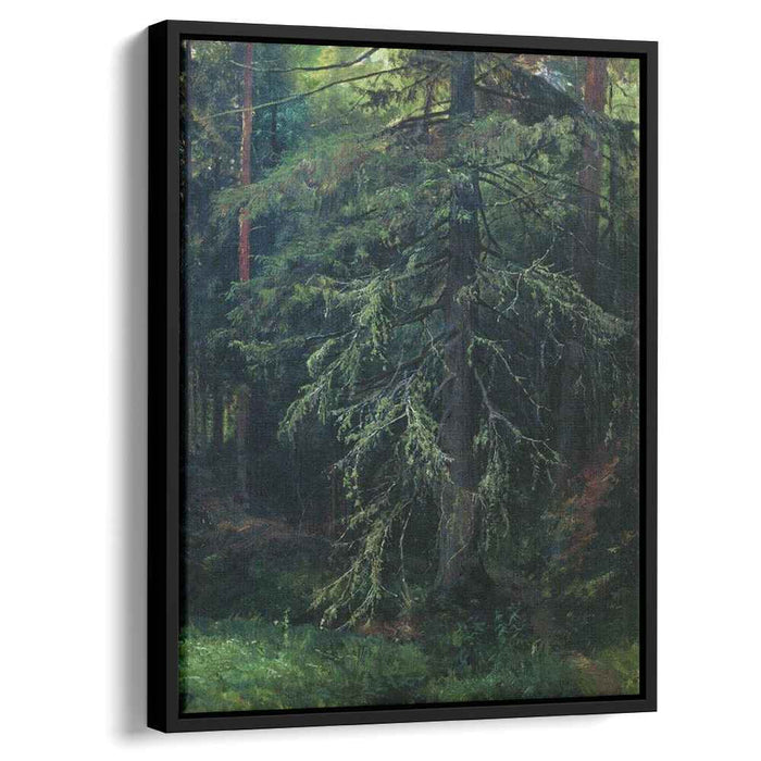 Fir by Ivan Shishkin