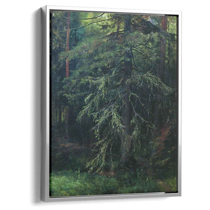 Fir by Ivan Shishkin