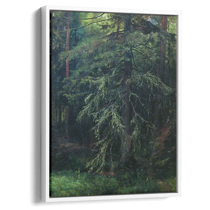 Fir by Ivan Shishkin