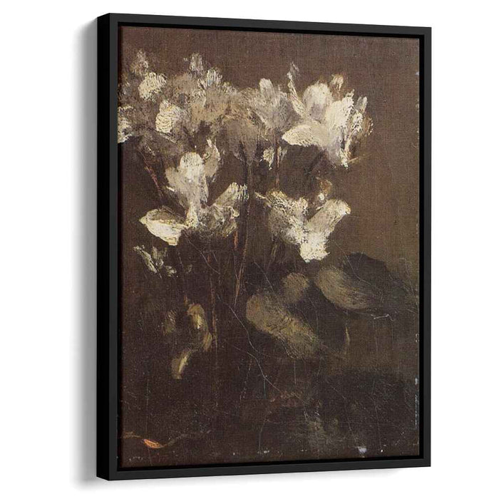 Flowers, Cyclamens by Henri Fantin-Latour