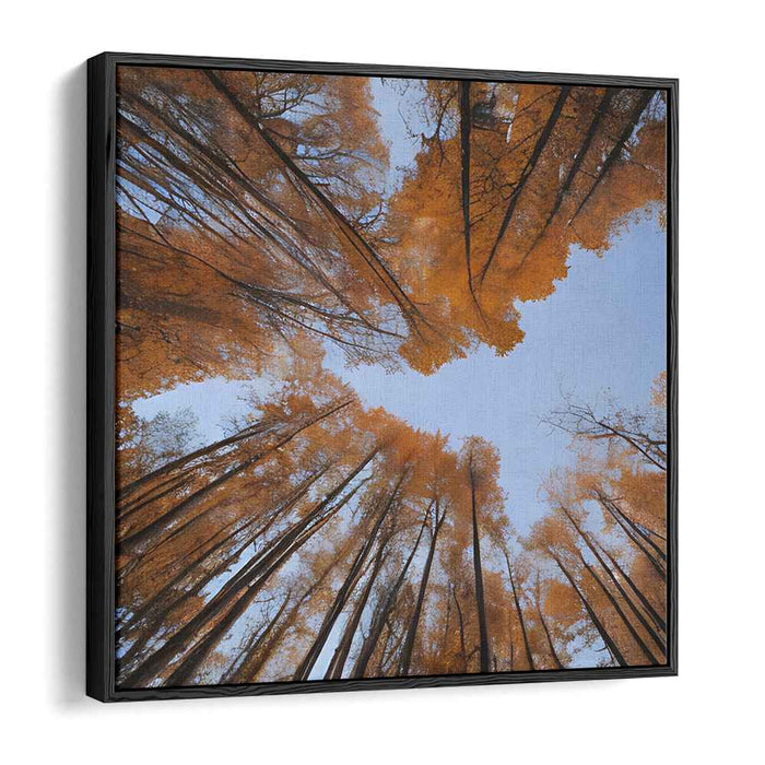 Golden Canopy Harmony: A Skyward View of Golden Fall Trees Canvas Art