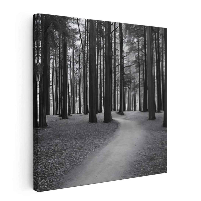 Forest Photography #004