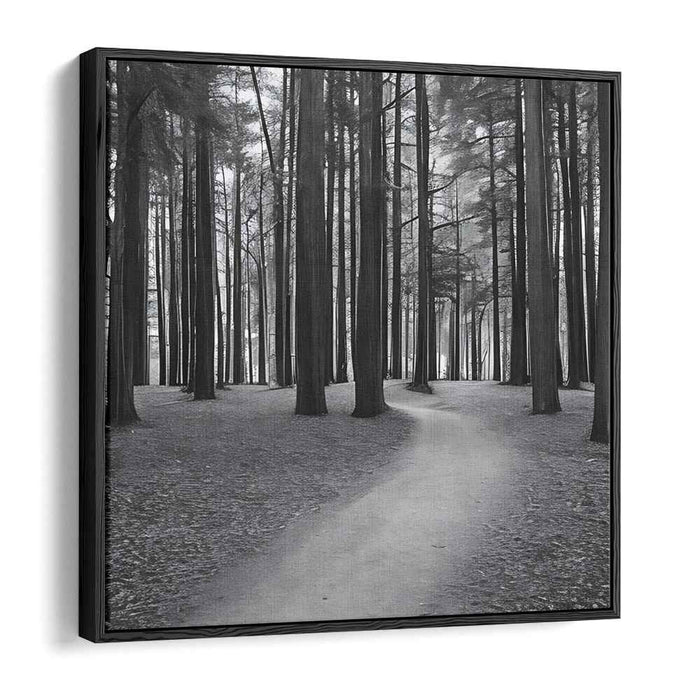 Forest Photography #004