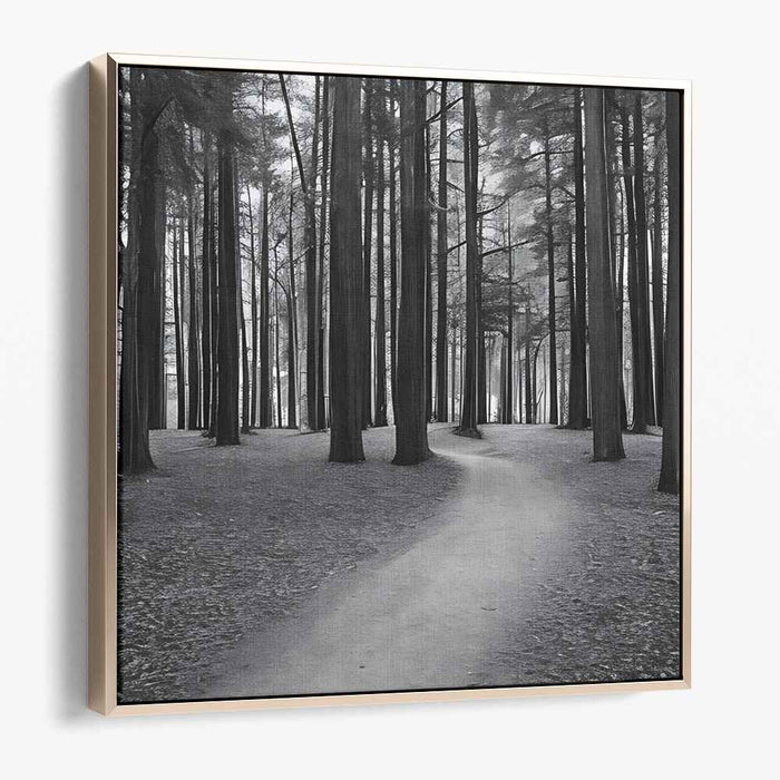 Forest Photography #004