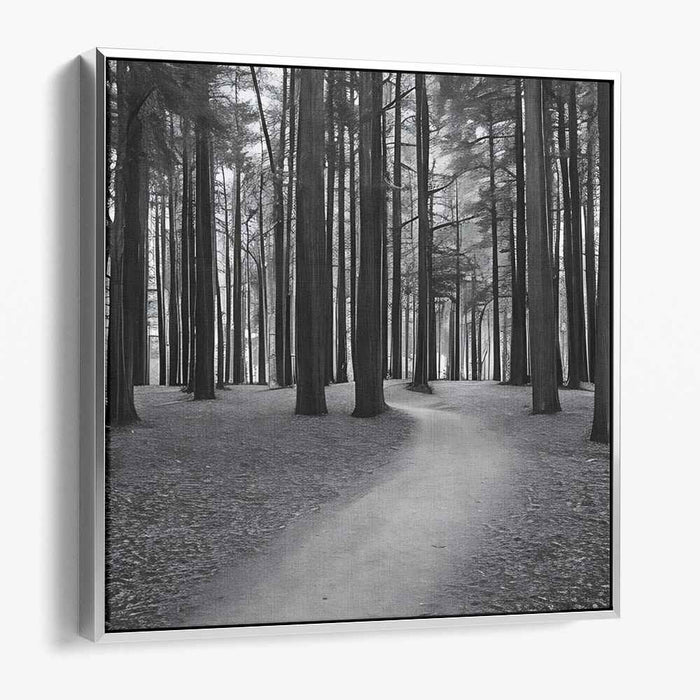 Forest Photography #004