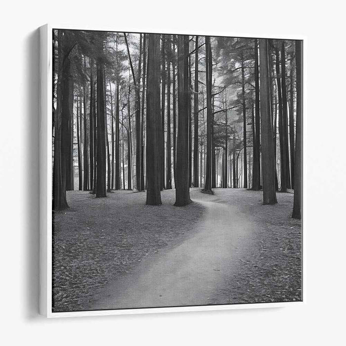 Forest Photography #004