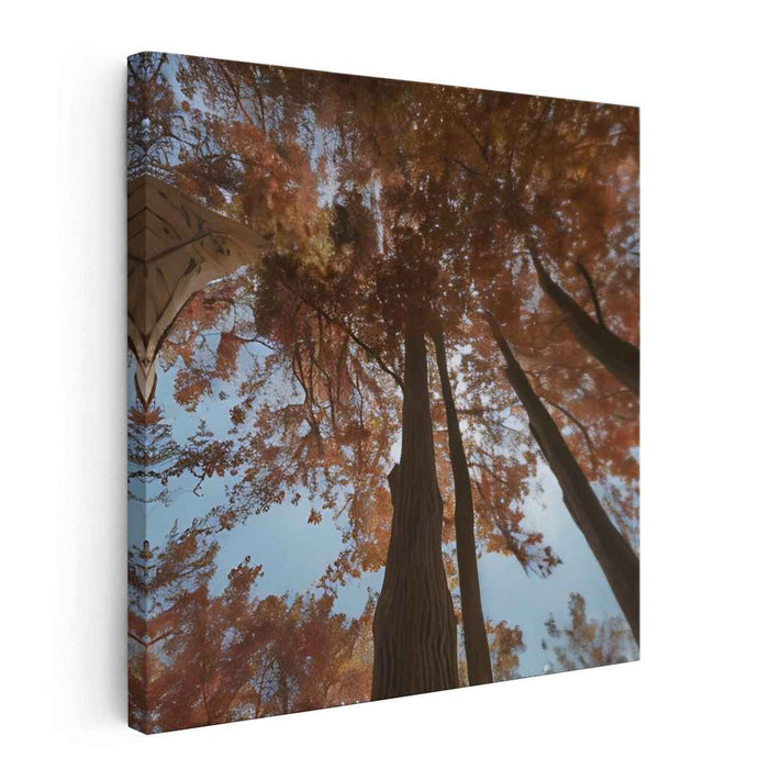 Ethereal Leaf Symphony: A Skyward View of Fall Foliage Canvas Art
