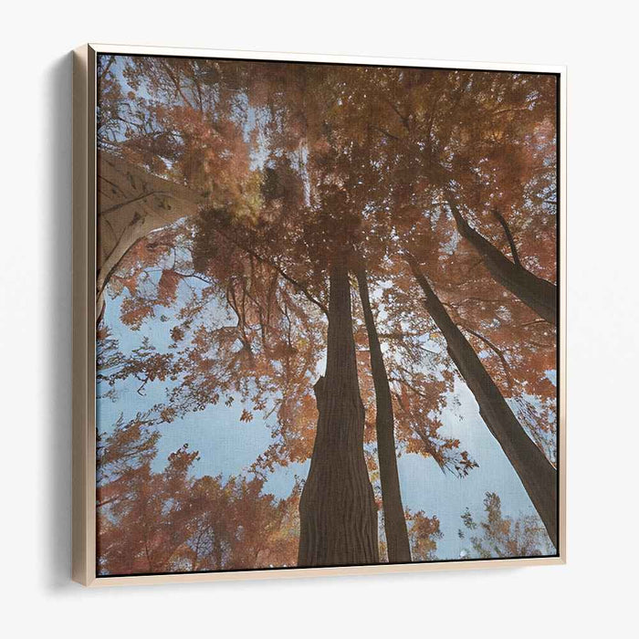 Ethereal Leaf Symphony: A Skyward View of Fall Foliage Canvas Art