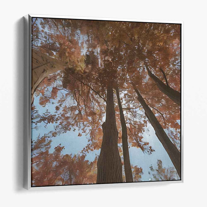 Ethereal Leaf Symphony: A Skyward View of Fall Foliage Canvas Art
