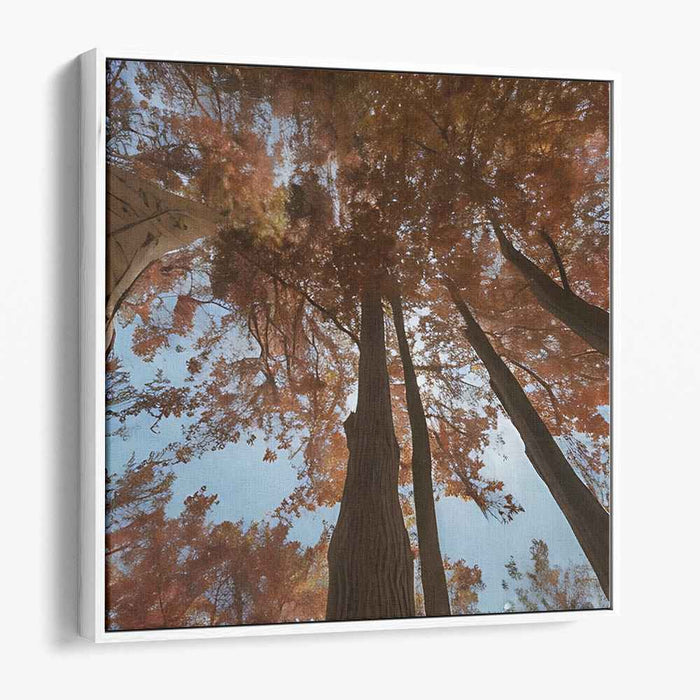Ethereal Leaf Symphony: A Skyward View of Fall Foliage Canvas Art